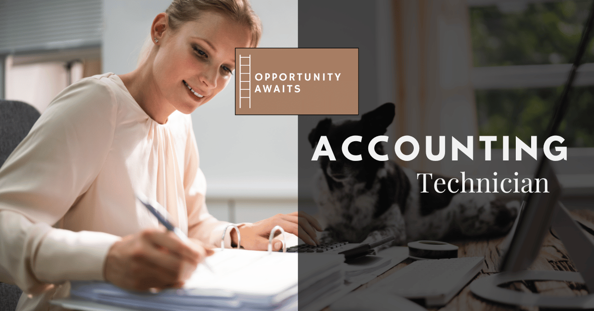 CIMA ACCA ACA Accountant