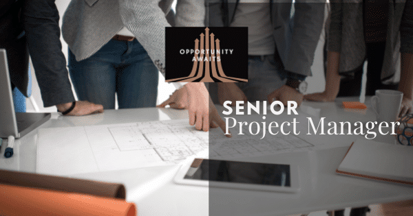 Experienced Senior Level Project Manager