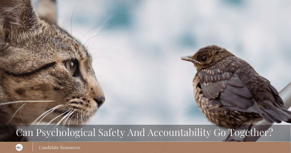 Psychological Safety Needs and Accountability