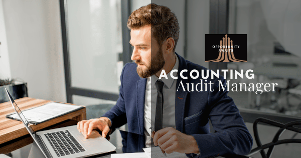 Accountant and Auditor