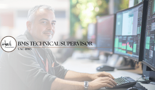 BMS Technical Supervisor