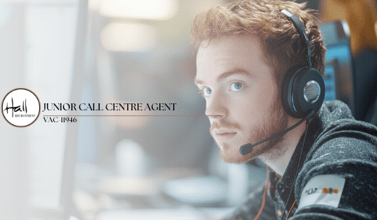 Junior Call Centre Agent