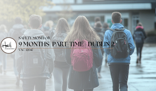 Safety Monitor | Part-Time, Dublin 2